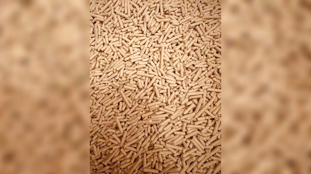 Kostenloses Stock Foto zu alternative energie, bioenergie, biomasse